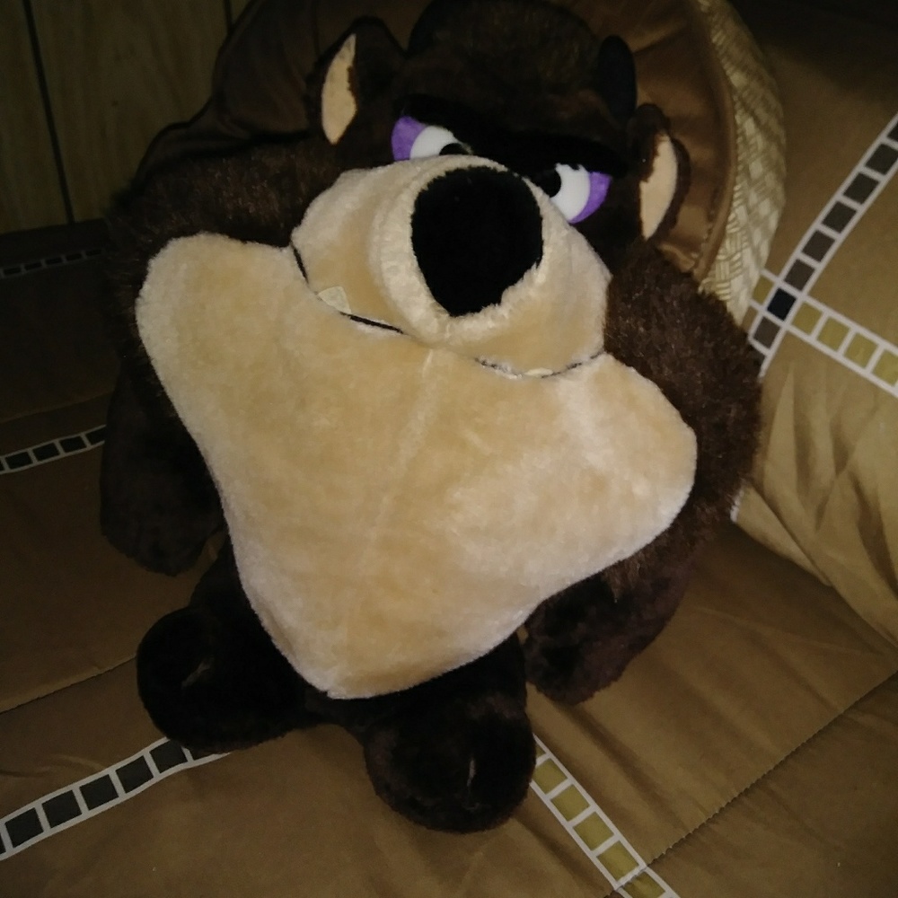 Stuffed Disney Character